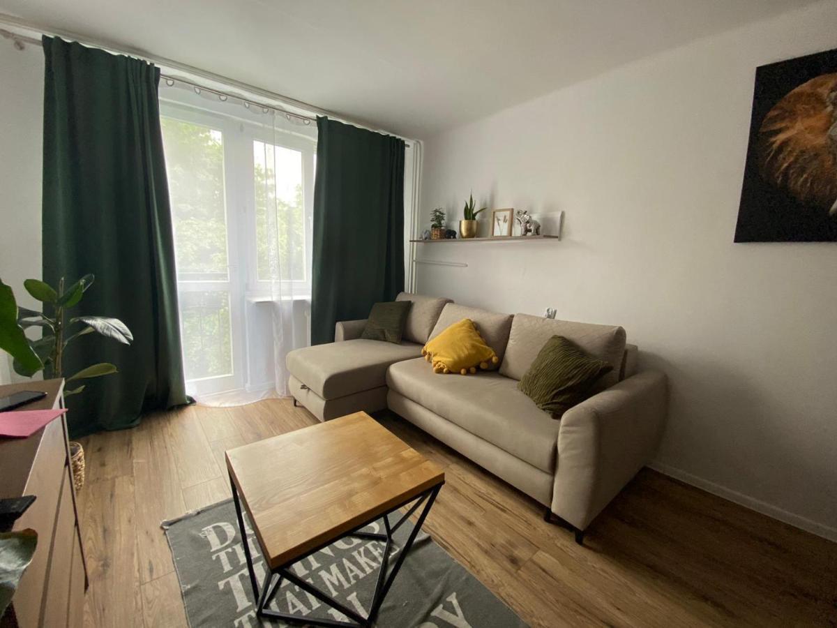Sienkiewicza Apartament Multi House Rzeszow Exterior photo